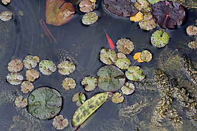 《死神：勇敢的灵魂》今年夏季登陆任天堂Switch